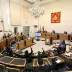 Imagen del pleno ordinario de la Diputación de ayer.