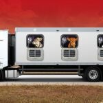 Ilustración de portada : estocada al transporte animal