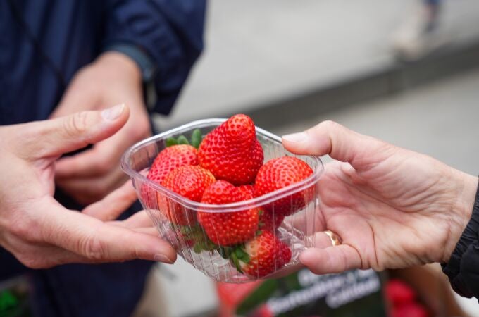 Fresas frescas, alimento natural que ayuda a regular el azúcar en sangre y prevenir la diabetes Fresas frescas, alimento natural que ayuda a regular el azúcar en sangre y prevenir la diabetes