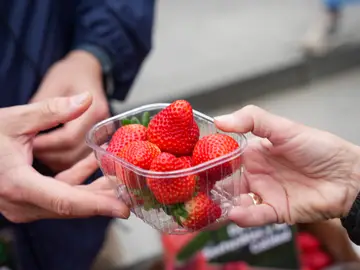 Fresas frescas, alimento natural que ayuda a regular el azúcar en sangre y prevenir la diabetes Fresas frescas sobre una mesa de madera, alimento natural que ayuda a regular el azúcar en sangre y prevenir la diabetes