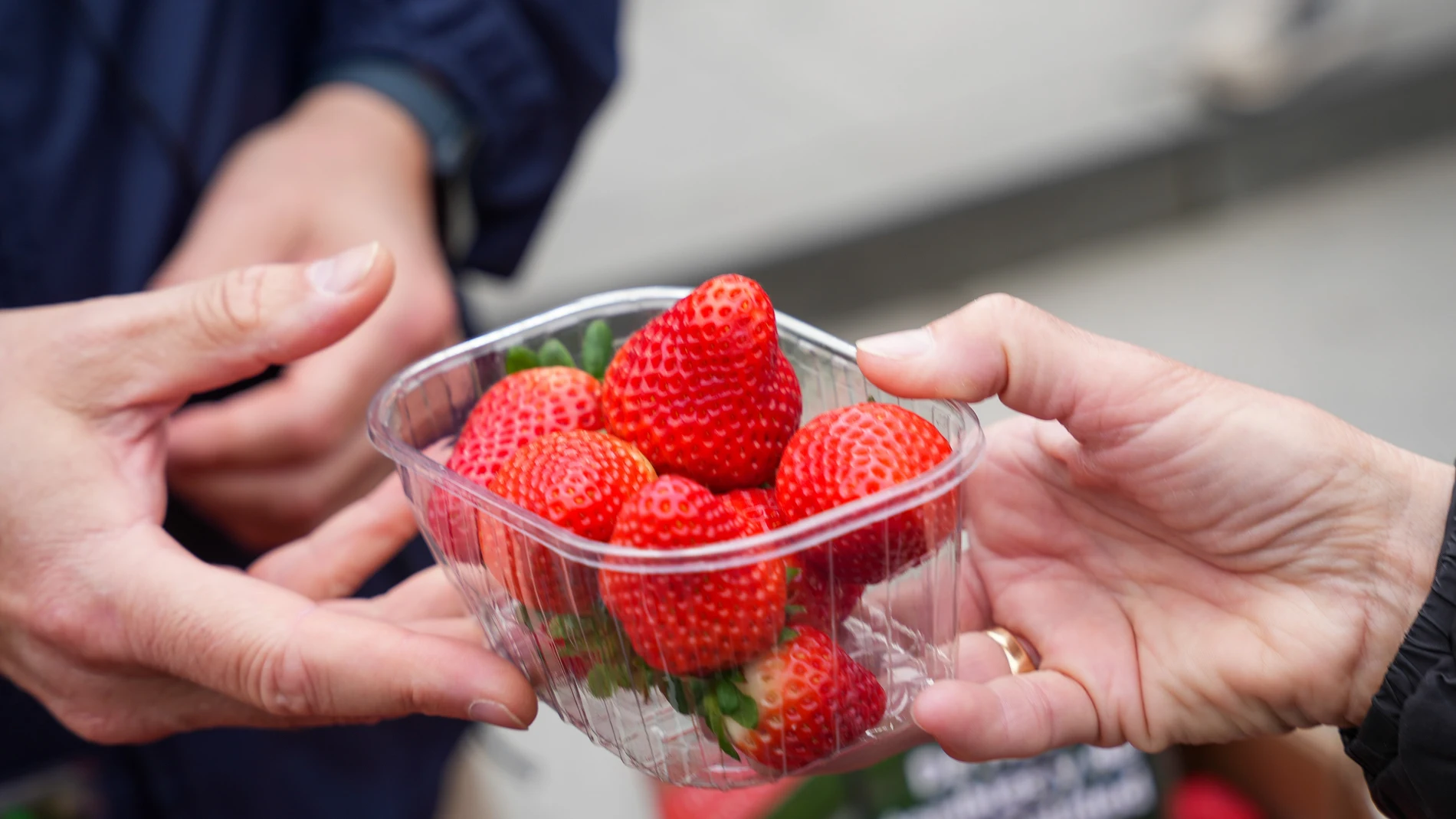 Representantes de UPA reparten fresas de Huelva a los viandantes. A 7 de marzo de 2024, en Sevilla (Andalucía, España). La organización agraria UPA ha repartido tarrinas de fresas en Puerta Jerez de Sevilla, dentro de la campaña 'Yo como fresas de Huelva porque son sanas, seguras y sostenibles'. 07 MARZO 2024 María José López / Europa Press 07/03/2024