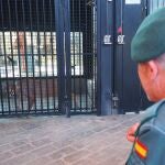 La Guardia Civil interviene un ejemplar de lince africano en el jardín de una vivienda en Marbella