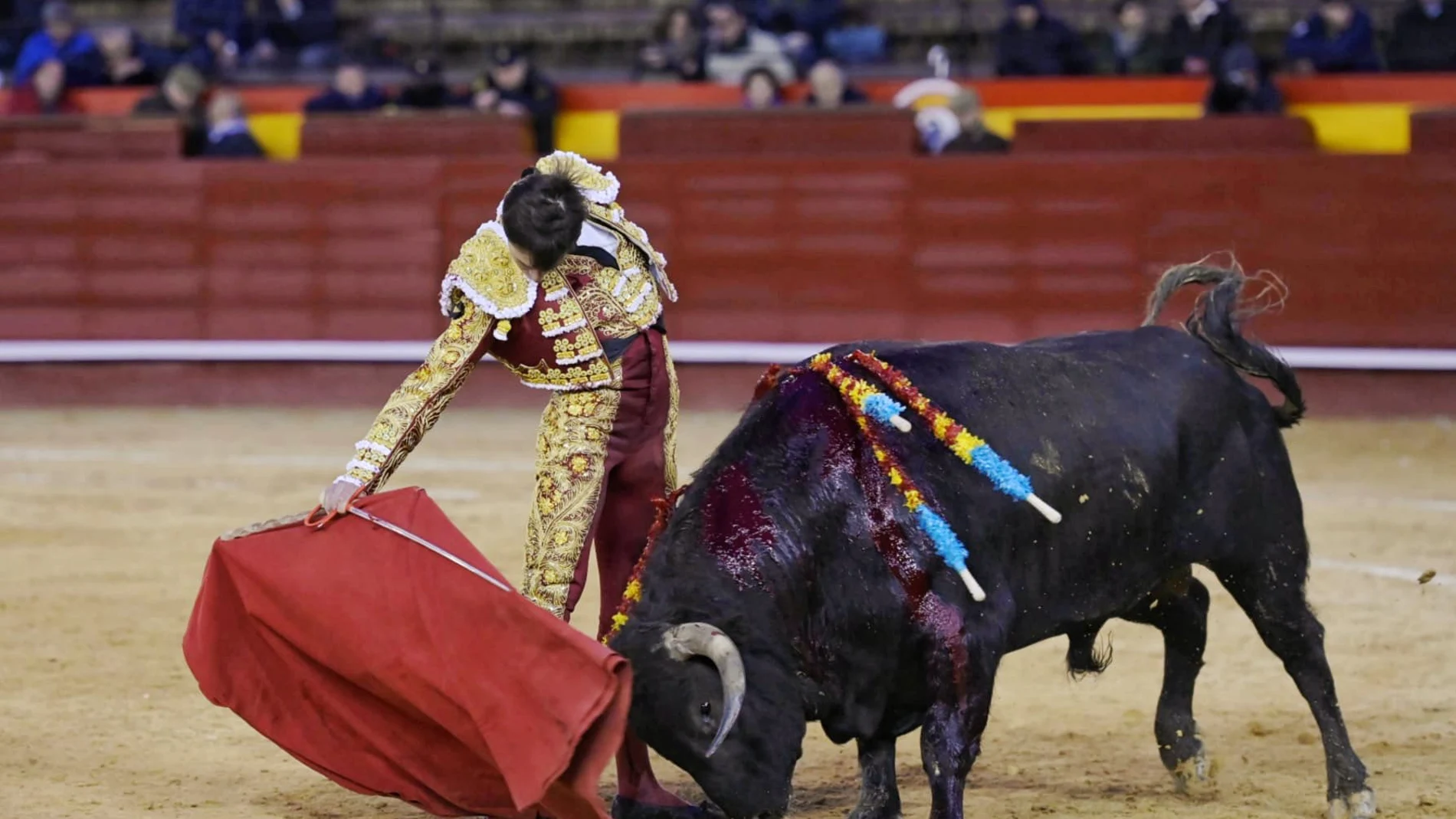 Navalón, en Fallas
