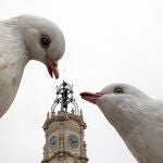 Algunas fallas, como la municipal de la plaza del Ayuntamiento ya tiene "ninots" en la calle