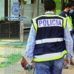 Un momento de la "operación Gladiador"