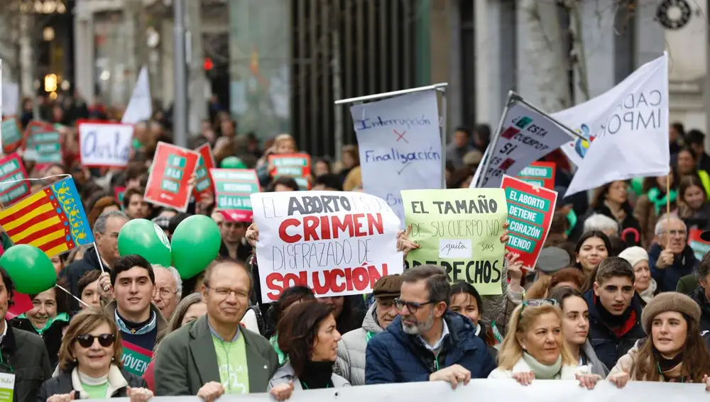 Más de 500 asociaciones han salido a las calles este domingo en Madrid con el lema "Sí a la vida"