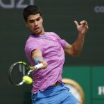 Alcaraz, en un partido en Indian Wells