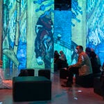 El Mundo de Van Gogh - Exposición Inmersiva. David Jar