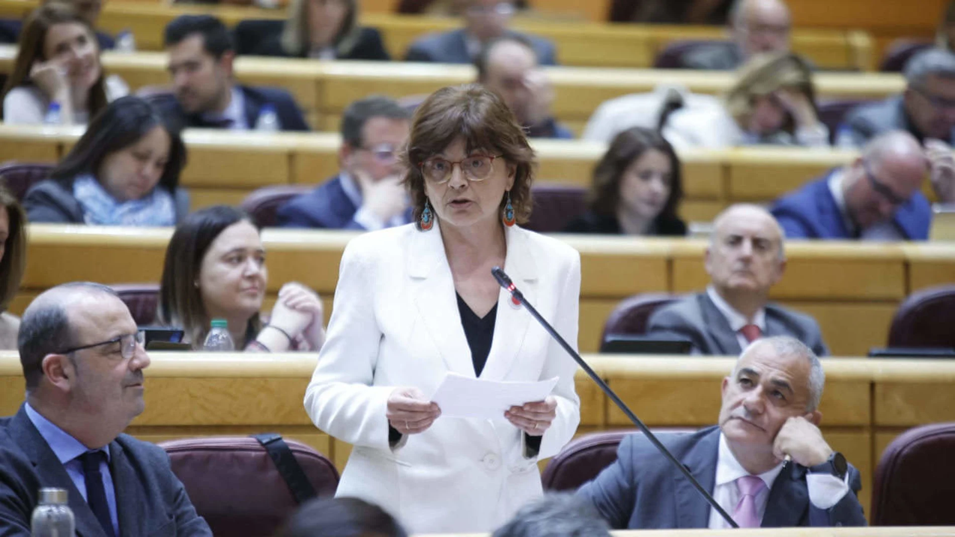 La senadora del BNG, Carme da Silva.