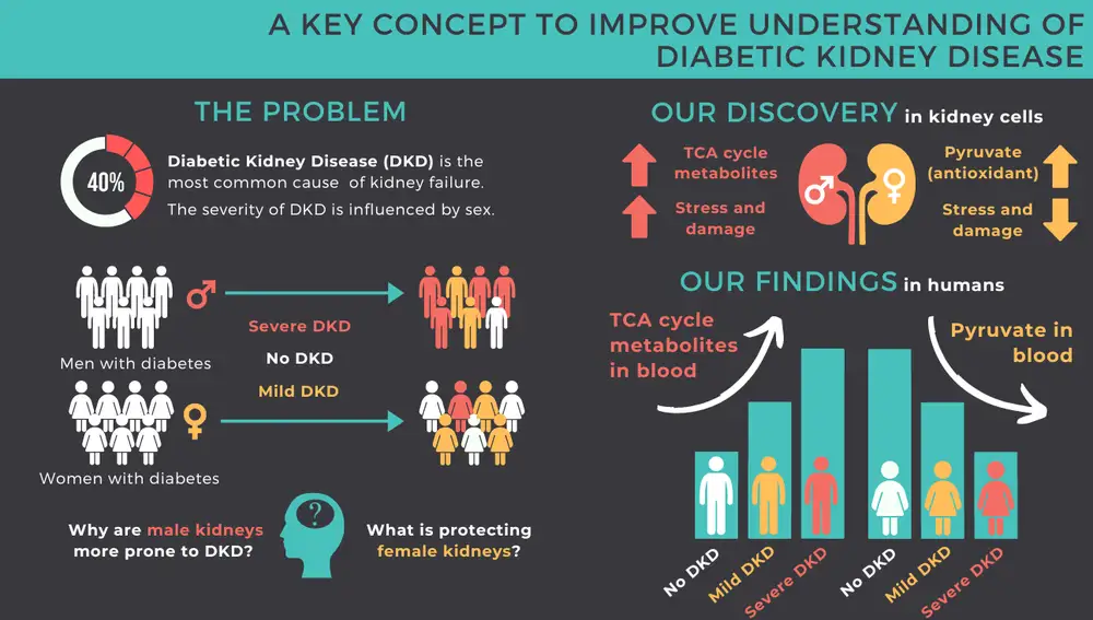 Infográfica incluida en el artículo publicado en Science Translational Medicine