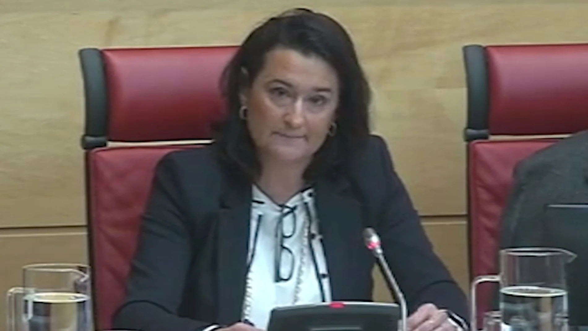 Emma Fernández, directora general de Economía Social y Autónomos, en la Comisión de Industria