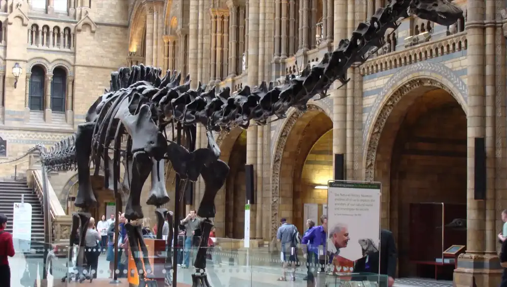 Museo de Historia Natural de Londres