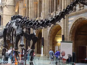 Museo de Historia Natural de Londres Museo de Historia Natural de Londres