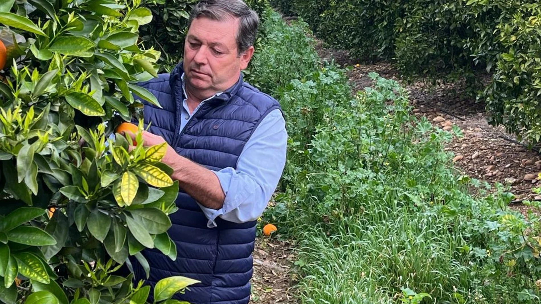 Francisco González en su explotación agraria, situada entre las provincias de Córdoba y Sevilla