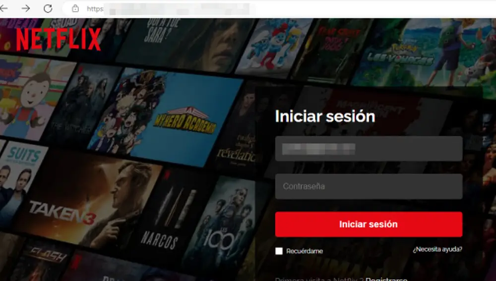 Web fraudulenta de Netflix utilizada en esta campaña.