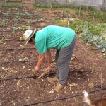 Bruselas eximirá de sanciones y controles ambientales de la PAC a los pequeños agricultores