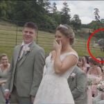 Una vaca se 'opone' a una boda con un mugido y se vuelve viral