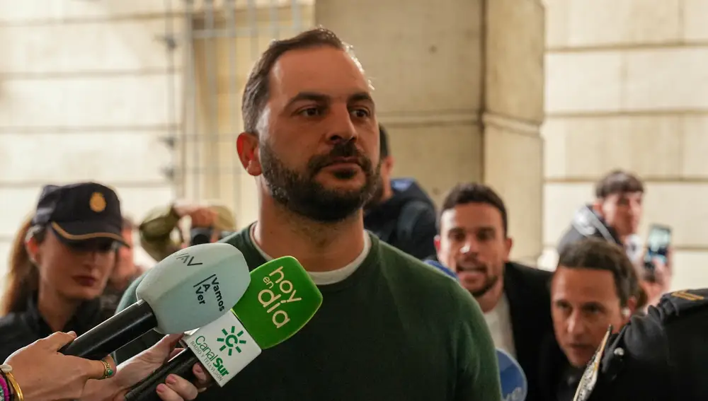 Antonio Tejado llega a los juzgados para declarar sobre el robo a María del Monte