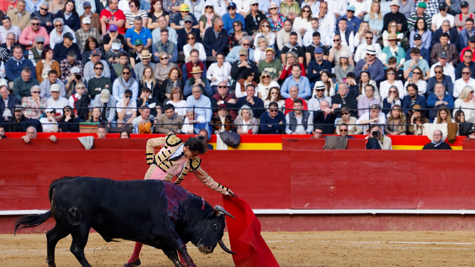 GRAFCVA9284. VALENCIA, 16/03/2024.- El diestro, Roca Rey, da un pase a su primer astado durante la corrida de toros de la Feria de Fallas, con reses de Victoriano del Río y Cortés, y en la que ha compartido cartel con Castella y Pablo Aguado. EFE/Ana Escobar