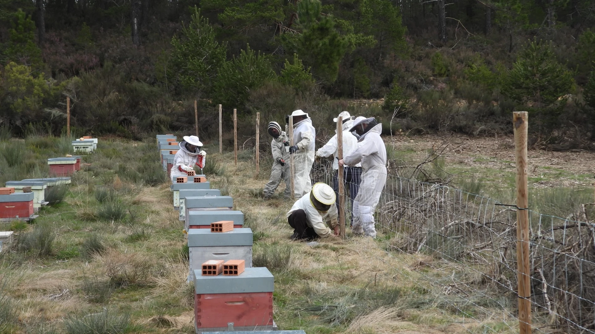 Apicultores aprenden a proteger sus colmenas de los osos en un taller organizado por FAPAS