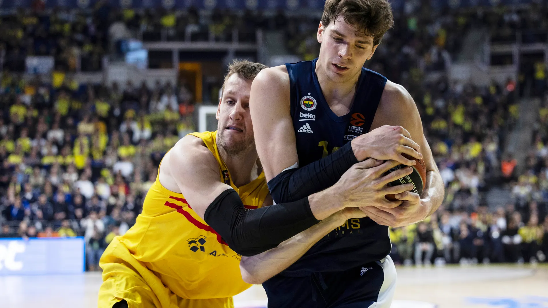 Vesely intenta arrebatar el balón a Biberovic