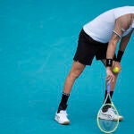 Miami Open Tennis