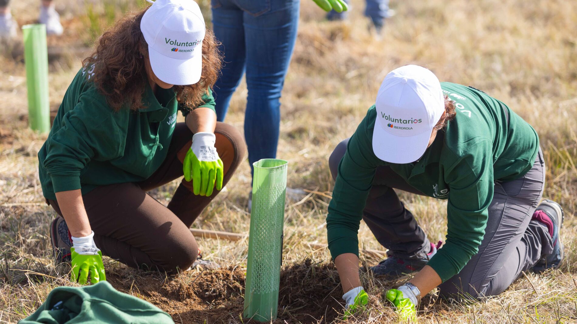 En España se han plantado ya 932.000 ejemplares en proyectos de conservación y restauración de ecosistemas
