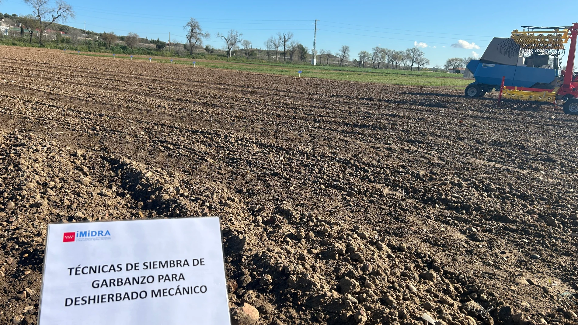 Siembra de garbanzo para deshierbado mecánico