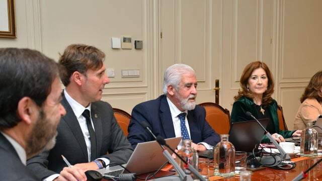 El CGPJ avala por mayoría el informe que declara inconstitucional la ley de amnistía
