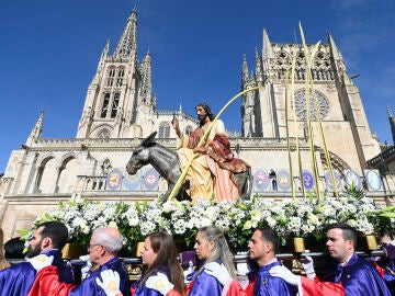 Los animales en Semana Santa: desde los burros de Domingo de Ramos hasta los caballos de las cofrad&iacute;as