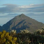El pico Naiguatá es el más elevado de la Cordillera de la Costa. Se encuentra ubicado en la ciudad de Caracas, Venezuela. 