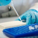  Arranca TRIP, un programa pionero en investigación traslacional 