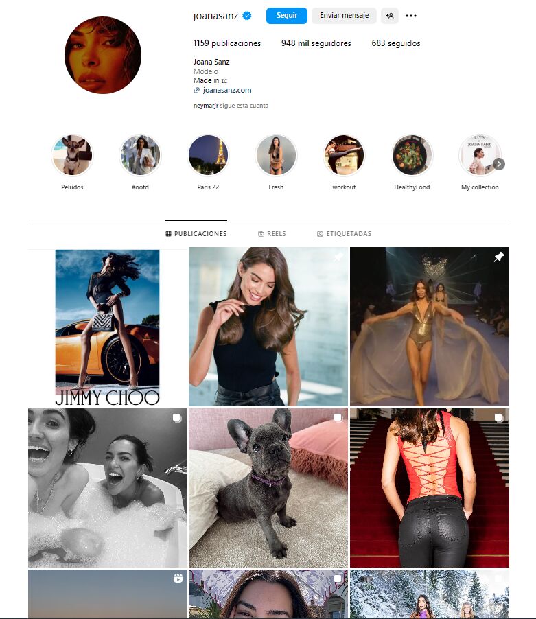 Perfil de Instagram de Josna Sanz