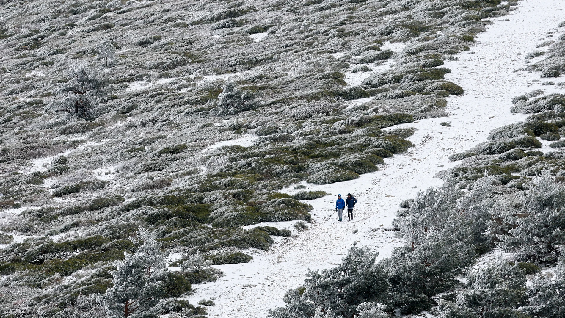 PUERTO DE NAVACERRADA (MADRID), 26/03/2024.- Dos personas pasean sobre un paisaje nevado este martes en Navacerrada, Madrid. Durante el día de hoy, la nieve caerá en numerosas comunidades como Aragón, Asturias, Cantabria, Castilla y León, Castilla-La Mancha, Cataluña, Comunidad de Madrid, Navarra y La Rioja, donde hay aviso amarillo por nevadas que acumularán entre 2-5 centímetros en 24 horas, salvo en puntos del Pirineo, donde los espesores podrían llegar a 15 cm. EFE/Rodrigo Jiménez