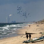 InternacionalCategorias.-EEUU tilda de "tragedia" la muerte de 18 palestinos intentando obtener ayuda humanitaria en Gaza