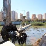 Retirada de residuos en el cauce del río Segura