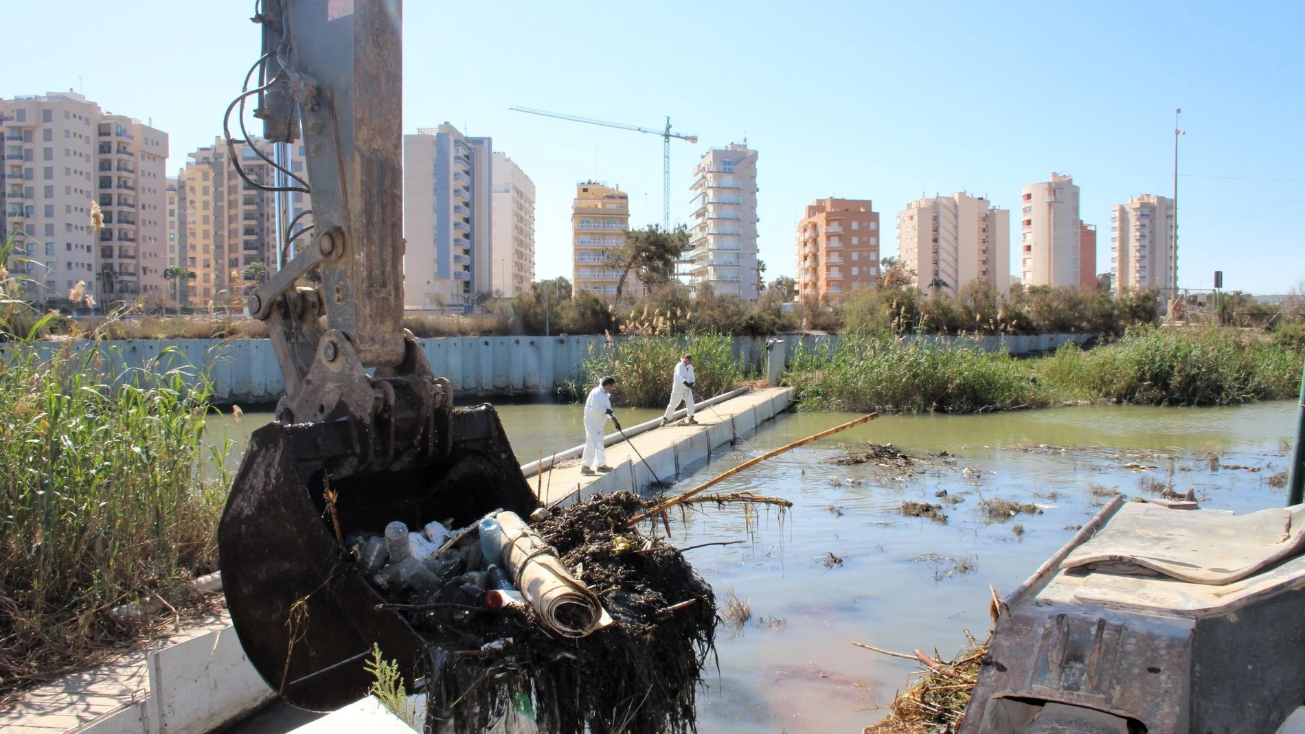 Retirada de residuos en el cauce del río Segura