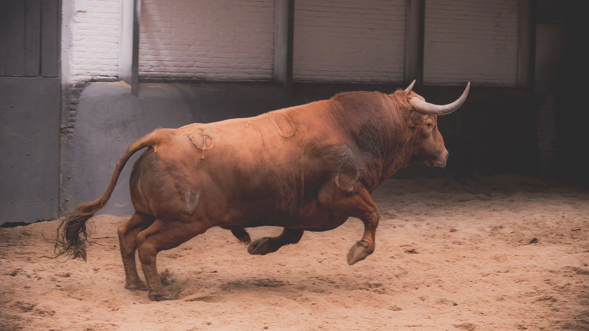 ¿Quiénes son los toreros que actuarán en Madrid este Domingo de Resurrección?