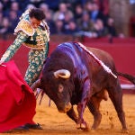 Morante, Castella y Roca Rey abren la temporada 2024 en la Maestranza. 