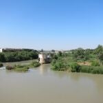  Vista del río Guadalquivir desde el Puente Romano, con los puentes de San Rafael y de Andalucía al fondo, en enero de este año 2024