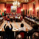 Aprobado el presupuesto de Granada para 2024, que prevé ingresos de casi 330 millones de euros