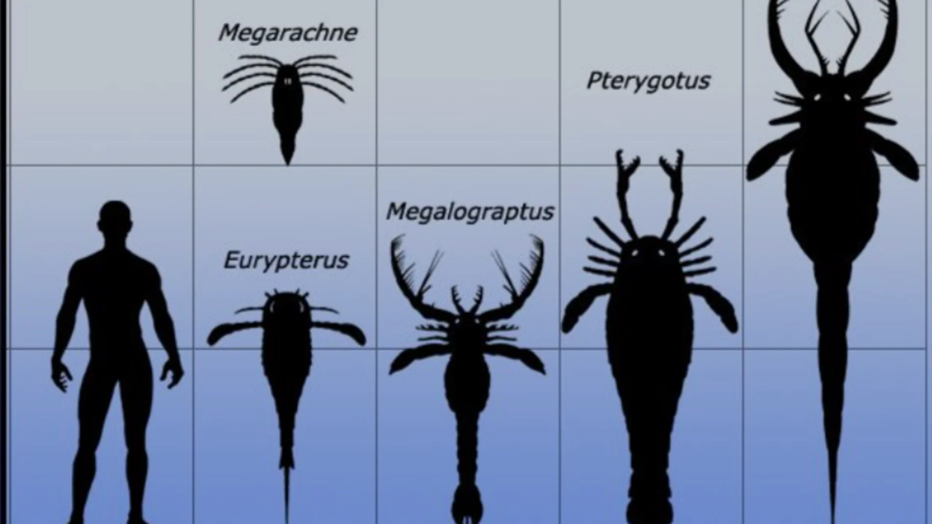 Animales prehistóricos