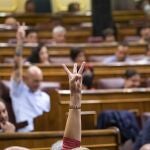 Votaciones durante un pleno en el Congreso de los Diputados. 