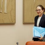 Comisión Mixta de Seguridad Nacional
