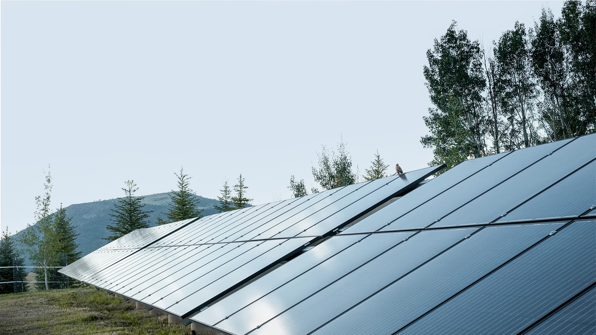 Paneles solares de WSP