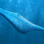 Recreación del dron Manta Ray.