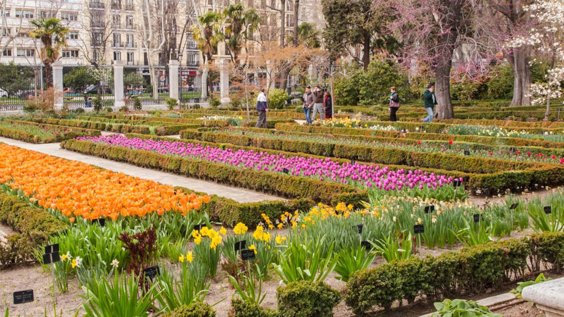 Grupo de personas en el Real Jardín Botánico de Madrid