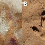 Descubren huellas de dinosaurios junto a misteriosos símbolos en Brasil