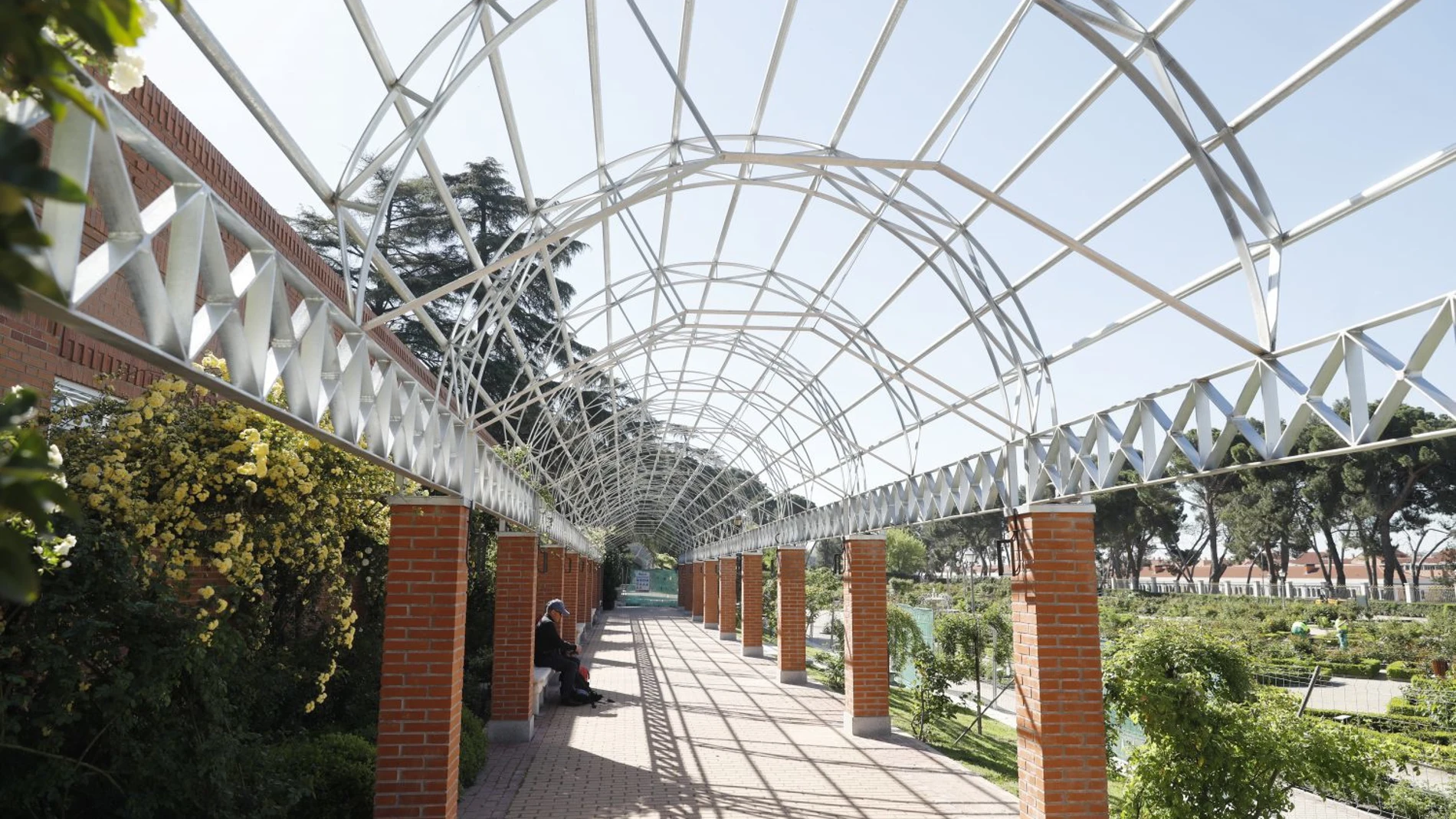 La rosaleda del parque del Oeste tras su rehabilitación AYUNTAMIENTO DE MADRID 12/04/2024