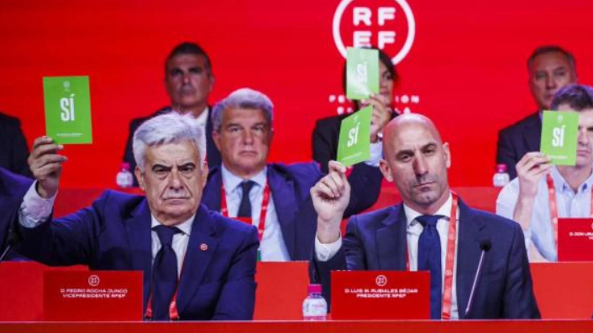 Pedro Rocha durante una Asamblea de la RFEF